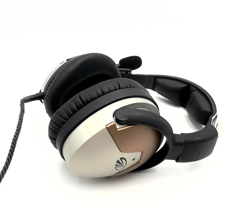 Lightspeed Delta Zulu ANR Aviation Headset